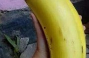 国产在线大香蕉操